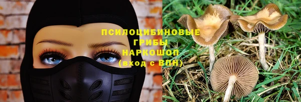 МДПВ Беломорск