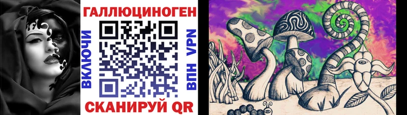 цены   Волосово  Псилоцибиновые грибы Psilocybe 